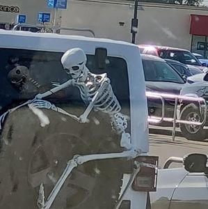 Meet your Posher, Leelee